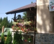 Flori