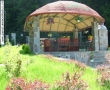 Foisor