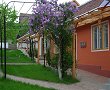 Pensiunea Basssen