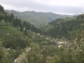 Valea Barsei