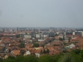 Belvedere Oradea