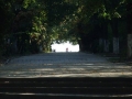 Parc Calafat