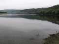 Nistru